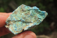 Natural Shattuckite with Chrysocolla & Malachite Cobbed Specimens x 2.7 Kg Lot from Namibia