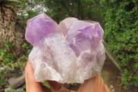 Natural Jacaranda Amethyst Quartz Clusters x 3 from Mumbwa, Zambia