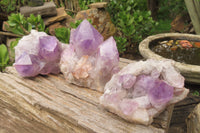 Natural Jacaranda Amethyst Quartz Clusters x 3 from Mumbwa, Zambia