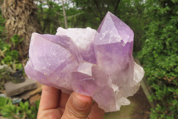 Natural Jacaranda Amethyst Quartz Clusters x 3 from Mumbwa, Zambia