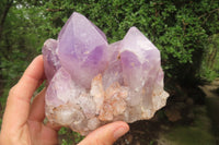 Natural Jacaranda Amethyst Quartz Clusters x 3 from Mumbwa, Zambia