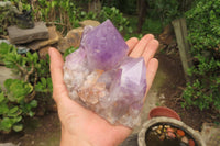 Natural Jacaranda Amethyst Quartz Clusters x 3 from Mumbwa, Zambia