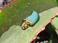 Polished Aventurine Lions Claw Pendant with Gold Cap & Bail - Sold Per Item - From Zimbabwe