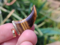 Polished Golden Tigers Eye Lions Claw Pendant with Gold Cap & Bail - Sold Per Item - From South Africa