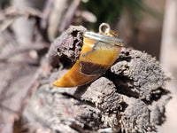 Polished Golden Tigers Eye Lions Claw Pendant with Gold Cap & Bail - Sold Per Item - From South Africa