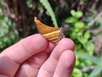 Polished Golden Tigers Eye Lions Claw Pendant with Gold Cap & Bail - Sold Per Item - From South Africa