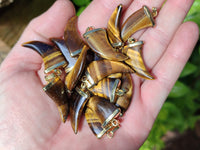 Polished Golden Tigers Eye Lions Claw Pendant with Gold Cap & Bail - Sold Per Item - From South Africa