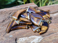 Polished Golden Tigers Eye Lions Claw Pendant with Gold Cap & Bail - Sold Per Item - From South Africa