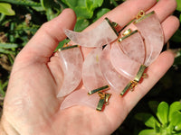 Polished Rose Quartz Lions Claw Pendant with Gold Cap & Bail - Sold Per Item - From Madagascar