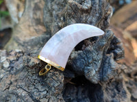 Polished Rose Quartz Lions Claw Pendant with Gold Cap & Bail - Sold Per Item - From Madagascar