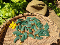 Polished Large Aventurine Lions Claw Pendant with Gold Cap & Bail - Sold Per Item - From Zimbabwe