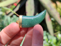 Polished Large Aventurine Lions Claw Pendant with Gold Cap & Bail - Sold Per Item - From Zimbabwe