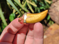 Polished Large Golden Tigers Eye Lions Claw Pendant with Gold Cap & Bail - Sold Per Item - From South Africa