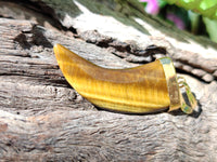 Polished Large Golden Tigers Eye Lions Claw Pendant with Gold Cap & Bail - Sold Per Item - From South Africa