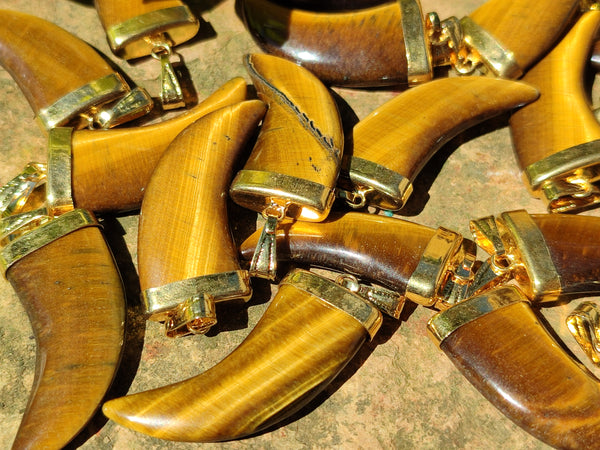 Polished Large Golden Tigers Eye Lions Claw Pendant with Gold Cap & Bail - Sold Per Item - From South Africa