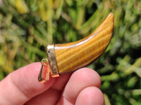 Polished Large Golden Tigers Eye Lions Claw Pendant with Gold Cap & Bail - Sold Per Item - From South Africa