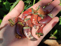 Polished Large Brecciated Red Jasper Lions Claw Pendant with Gold Cap & Bail - Sold Per Item - From South Africa