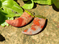 Polished Large Brecciated Red Jasper Lions Claw Pendant with Gold Cap & Bail - Sold Per Item - From South Africa