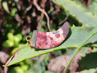 Polished Large Brecciated Red Jasper Lions Claw Pendant with Gold Cap & Bail - Sold Per Item - From South Africa