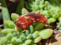 Polished Large Brecciated Red Jasper Lions Claw Pendant with Gold Cap & Bail - Sold Per Item - From South Africa