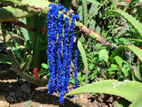 Polished Lapis Lazuli Beaded Tumble Chip Necklace - Sold Per Item - From Afghanistan