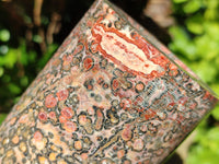 Polished Snakeskin Jasper Candle Holders x 2 From Australia