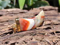 Polished Large Indian Agate Lions Claw Pendant with Gold Cap & Bail - Sold Per Item - From India