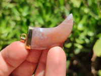 Polished Large Indian Agate Lions Claw Pendant with Gold Cap & Bail - Sold Per Item - From India