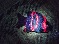 Hand Made Rare Large Fluorescent Ruby Zoisite Angel Fish Carvings - Sold Per Item - From Tanzania