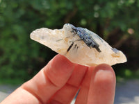 Natural Black Tourmaline On Quartz Specimens x 2 Kg Lot From Zimbabwe