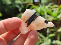 Natural Black Tourmaline On Quartz Specimens x 2 Kg Lot From Zimbabwe