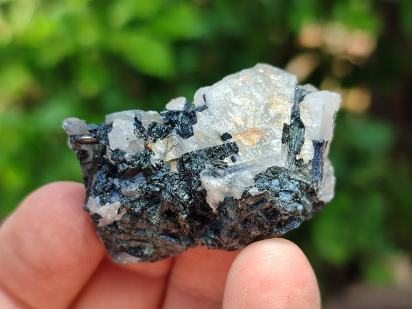 Natural Black Tourmaline On Quartz Specimens x 2 Kg Lot From Zimbabwe