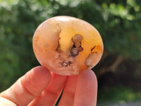 Polished Flower Agate Palm Stones x 20 From Madagascar