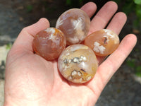 Polished Flower Agate Palm Stones x 20 From Madagascar