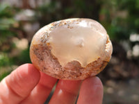 Polished Flower Agate Palm Stones x 20 From Madagascar