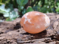 Polished Flower Agate Palm Stones x 20 From Madagascar