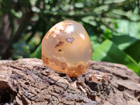 Polished Flower Agate Palm Stones x 20 From Madagascar