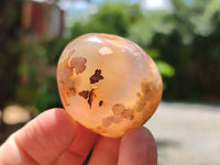 Polished Flower Agate Palm Stones x 20 From Madagascar