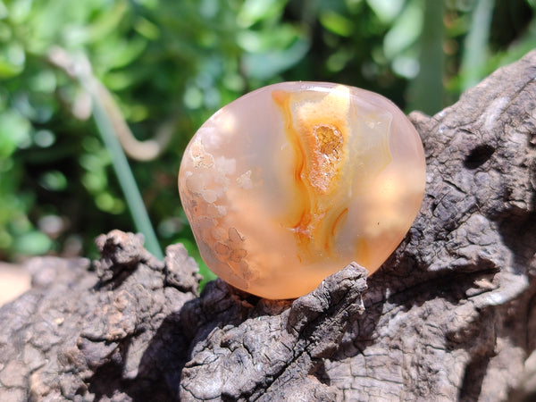 Polished Flower Agate Palm Stones x 20 From Madagascar