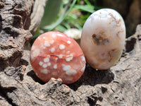 Polished Flower Agate Palm Stones x 20 From Madagascar