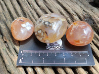 Polished Flower Agate Palm Stones x 20 From Madagascar