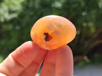 Polished Flower Agate Palm Stones x 20 From Madagascar