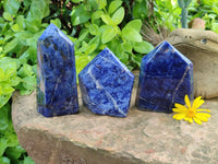 Polished Sodalite Points x 3 From Namibia