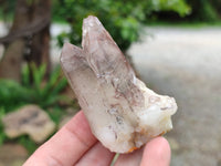 Natural Red Hematoid Quartz Specimens x 12 From Zimbabwe