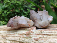 Natural Red Hematoid Quartz Specimens x 12 From Zimbabwe