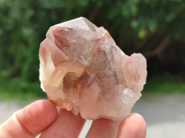 Natural Red Hematoid Quartz Specimens x 12 From Zimbabwe