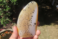 Polished Dendritic Agate Standing Free Forms x 4 From Madagascar