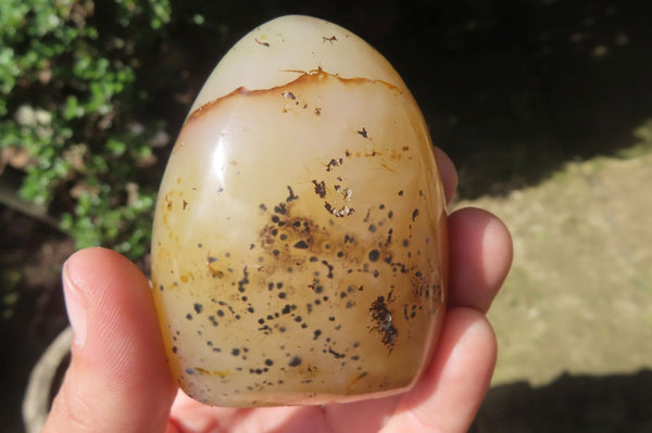 Polished Dendritic Agate Standing Free Forms x 4 From Madagascar