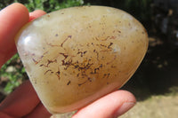 Polished Dendritic Agate Standing Free Forms x 4 From Madagascar