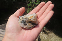 Natural Black Tourmaline On Quartz Matrix Specimens x 35 From Zimbabwe